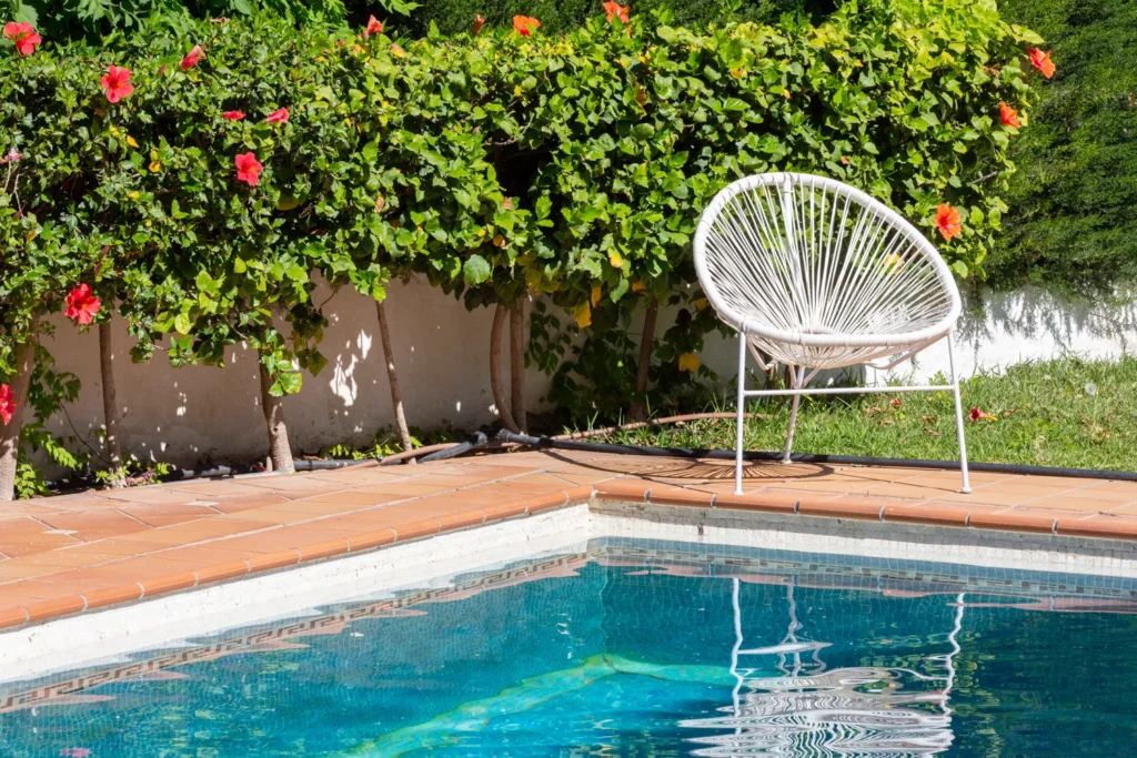 Rincón junto a la piscina con buganvillas